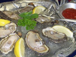 shucked oysters oys pint